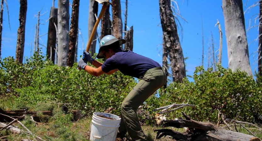 A person swings a garden tool while working during a service project with outward bound